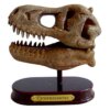 Σετ ανασκαφής δεινόσαυρου Tyrannosaurus "T-Rex World", παιχνιδια ανασκαφων, παιχνιδια με δεινοσαυρους, παιχνιδια με δεινοσαυρους ρεξ, σκελετοι δεινοσαυρων παιχνιδια, δεινοσαυροι παιχνιδια, δεινοσαυροι, δεινόσαυροι παιχνίδια, παιχνιδια, παιχνιδια για παιδια, paxnidia, αγορίστικα παιχνίδια, παρκο δεινοσαυρων, παιχνιδια με δεινοσαυρουσ, ολα τα παιχνιδια, δινοσαβρι, παιδικα παιχνιδια, εκπαιδευτικα παιχνιδια, ειδη δεινοσαυρων, δεινοσαυροι αθηνα, dinosavros, παιχνιδια για αγορια 10 ετων, deinosayroi, t-rex world, spiegelburg, spiegelburg 14455