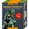 Spiegelburg Σειρα: T-Rex Tyrannosaurus Ανασκαφη