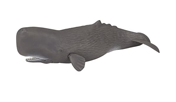 Papo Φιγούρα 'Φάλαινα Φυσυτήρας' Κωδ. 56036