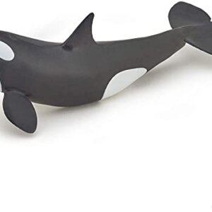 Papo Φιγούρα - Baby Killer Whale - Κωδ. 56040