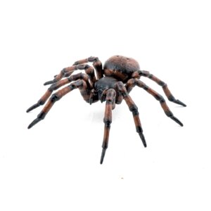 Papo Φιγούρα COMMON SPIDER- 50292