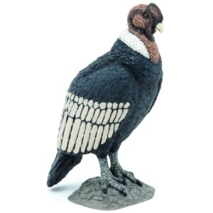 Papo Φιγούρα Κόνδορας ( Condor) 50293