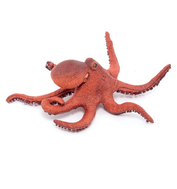 Papo Φιγούρα 'Νεαρό Χταπόδι' Young octopus 56060